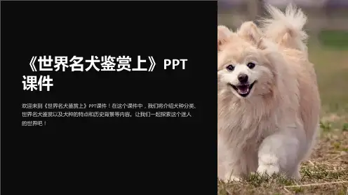 《世界名犬鉴赏上》课件