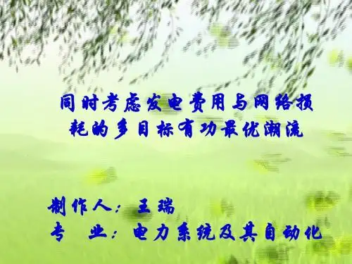 最优潮流