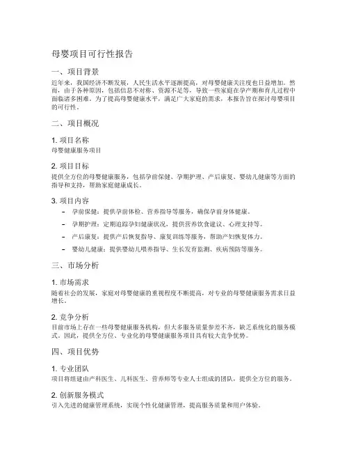 母婴项目可行性报告