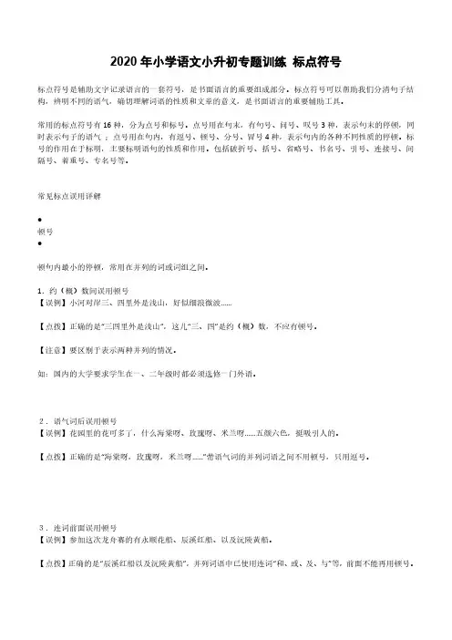 2020年小学语文小升初专题训练 标点符号