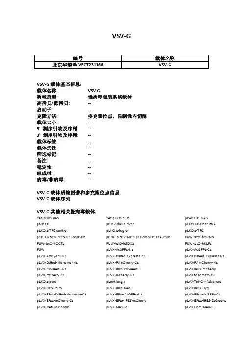 VSV-G慢病毒载体使用说明