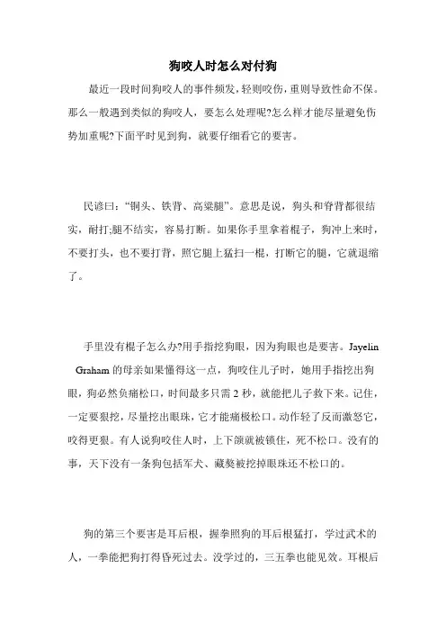 狗咬人时怎么对付狗