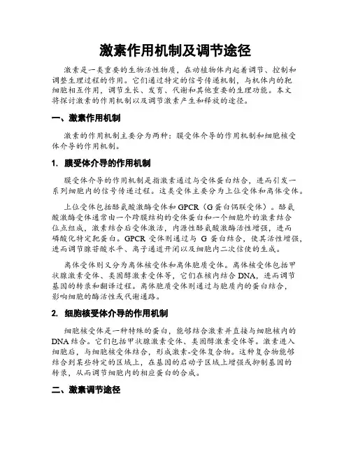 激素作用机制及调节途径