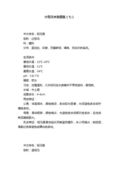 小型淡水鱼图鉴（七）