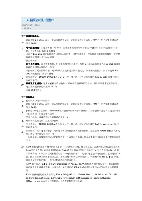 裂解液提蛋白说明书