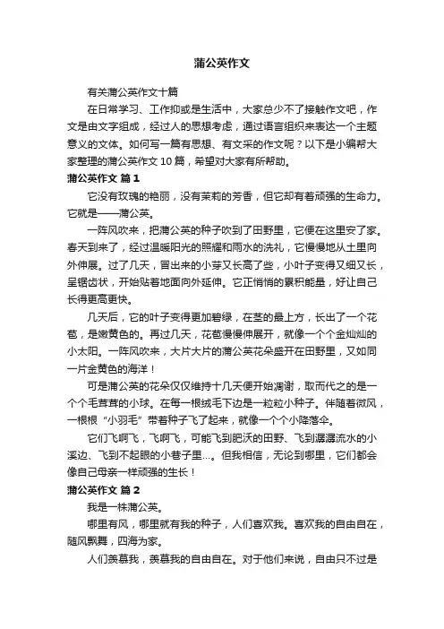 有关蒲公英作文十篇