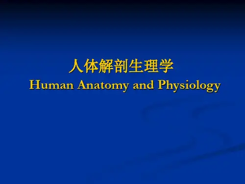 人体解剖生理学-内分泌系统