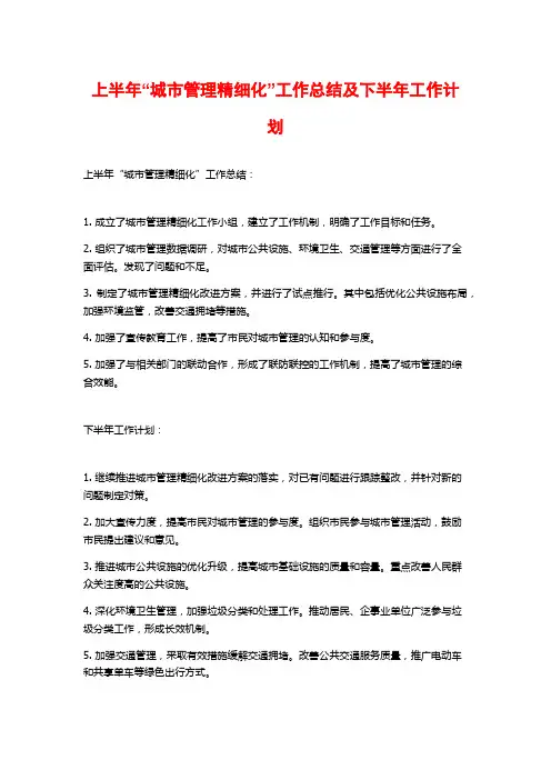 上半年“城市管理精细化”工作总结及下半年工作计划