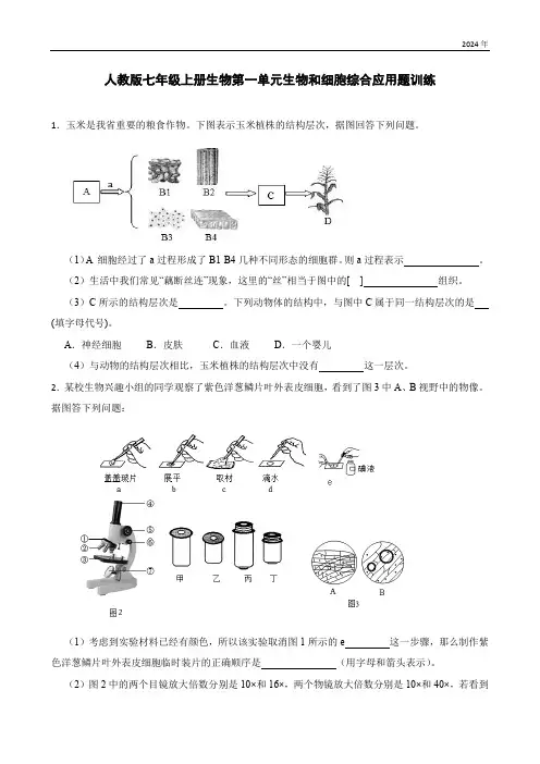 人教版七年级上册生物第一单元生物和细胞综合应用题训练(含答案).doc