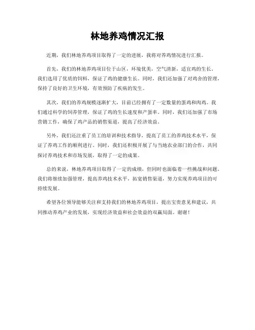 林地养鸡情况汇报