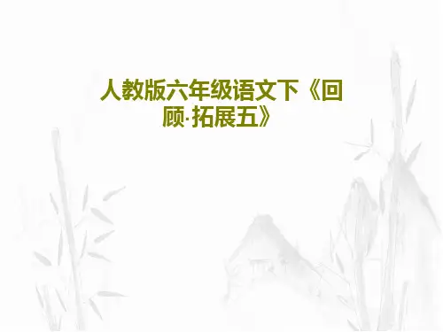 人教版六年级语文下《回顾·拓展五》共45页文档