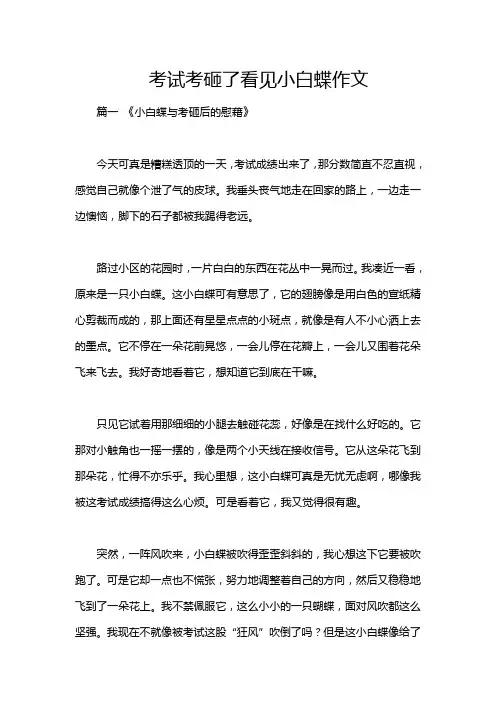 考试考砸了看见小白蝶作文