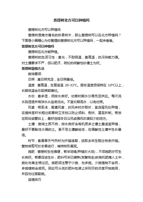 菩提树北方可以种植吗