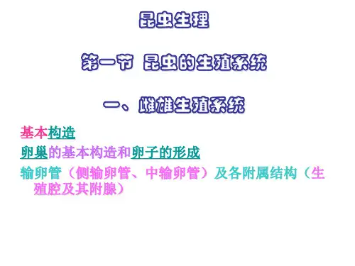 昆虫生理_精品文档