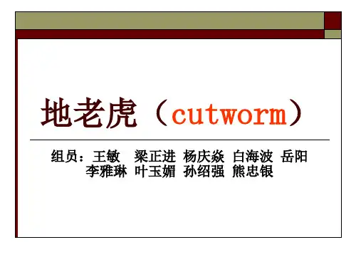 地老虎