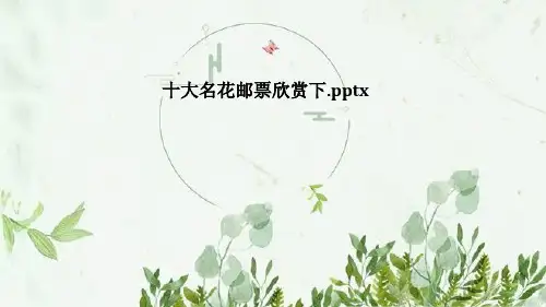 十大名花邮票欣赏下