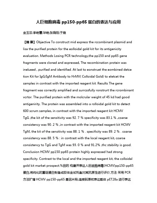 人巨细胞病毒pp150-pp65蛋白的表达与应用