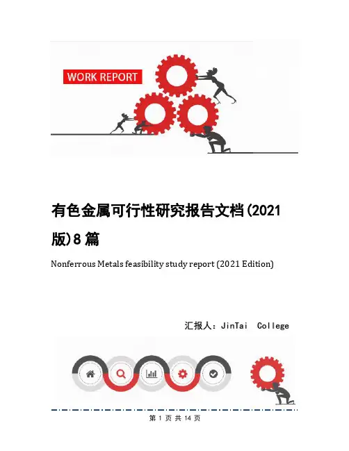 有色金属可行性研究报告文档(2021版)8篇