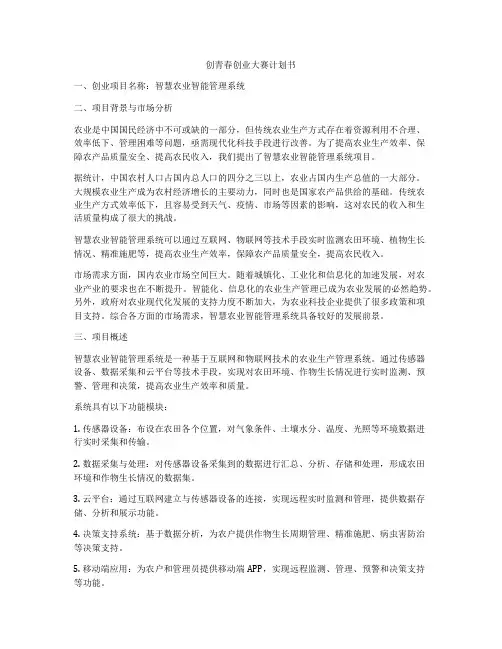 创青春创业大赛计划书