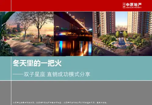 冬天里的一把火——双子星座直销成功模式分享-中原地产营销策划专题