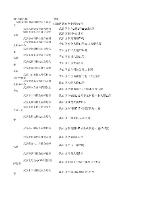 武汉市孵化器一览表