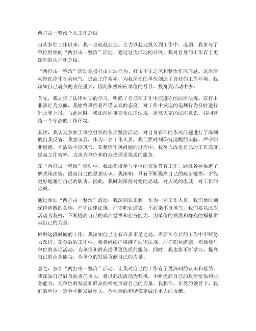 两打击一整治个人工作总结