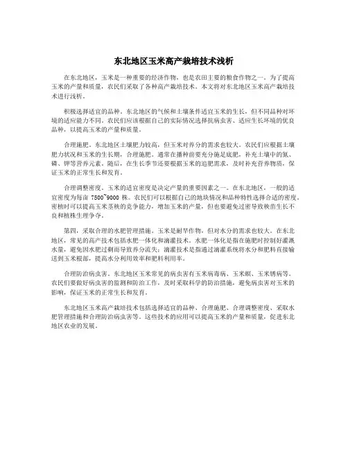 东北地区玉米高产栽培技术浅析