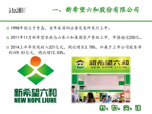 新希望六和集团现状人力资源分析.