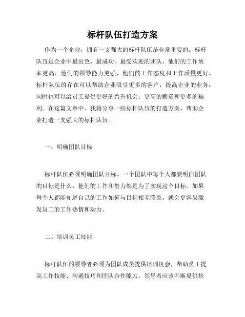 标杆队伍打造方案