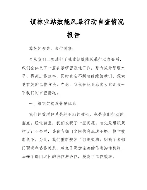 镇林业站效能风暴行动自查情况报告