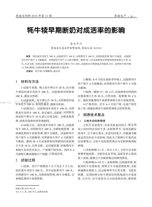 牦牛犊早期断奶对成活率的影响