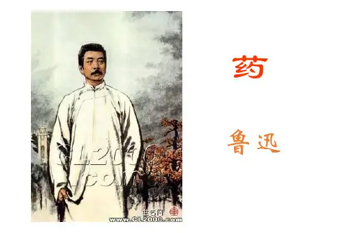《药》鲁迅PPT课件