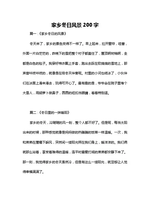 家乡冬日风景200字