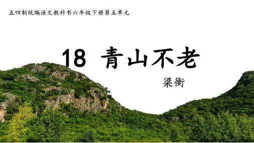 《青山不老》课件(共31张PPT)