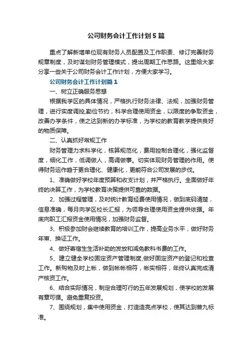 公司财务会计工作计划5篇