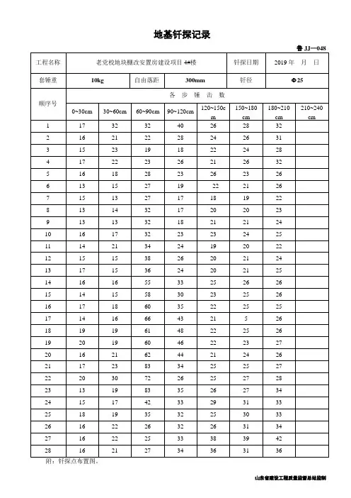 鲁JJ-048地基钎探记录.
