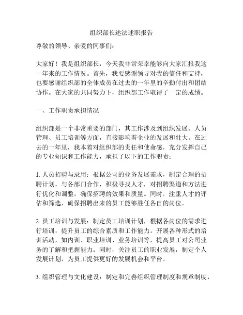 组织部长述法述职报告