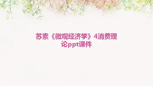 苏素《微观经济学》4消费理论PPT课件