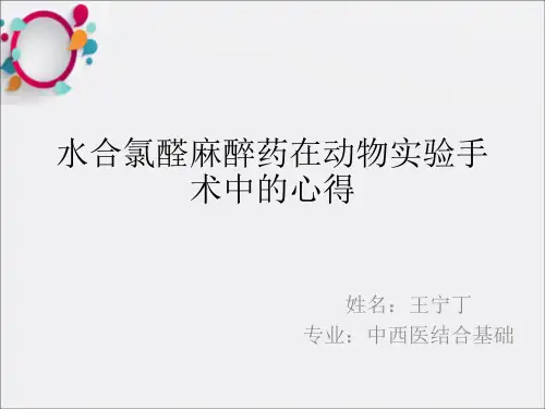 大鼠水合氯醛麻醉的方法