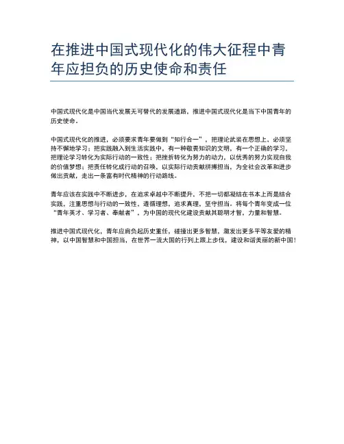 在推进中国式现代化的伟大征程中青年应担负的历史使命和责任