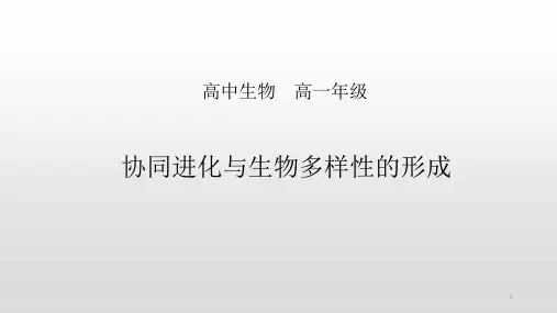 协同进化与生物多样性的形成课件