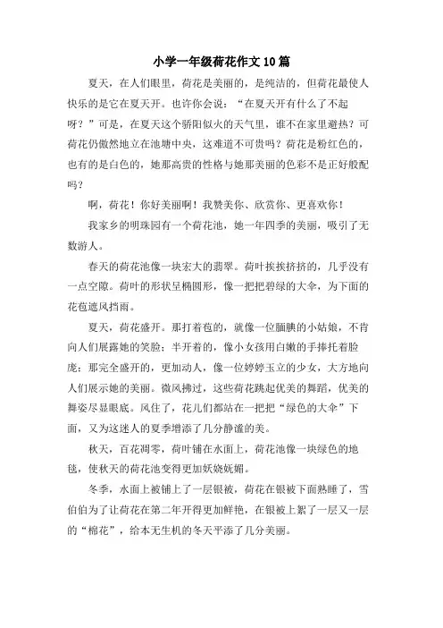 小学一年级荷花作文10篇