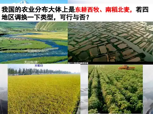 人教版高中地理必修2第三章31农业的区位选择共32张PPT