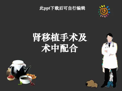 肾移植手术及术中ppt课件
