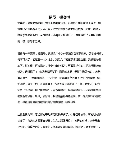 作文《描写一棵老树》