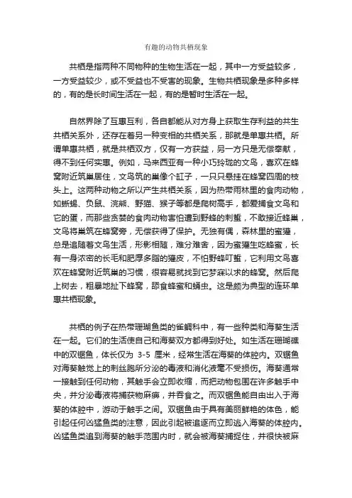 有趣的动物共栖现象
