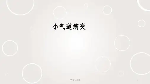 小气道病变影像课件