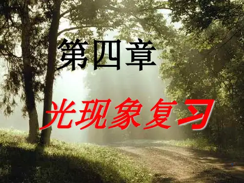 光现象复习课PPT教学课件