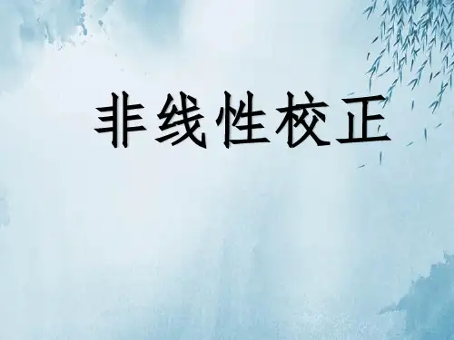 非线性校正ppt
