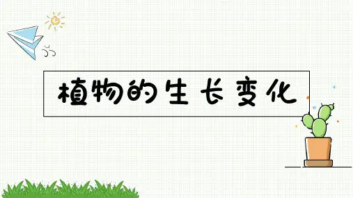 2021年春新教科版四年级下册科学课件1.6 果实和种子 (共12张PPT)